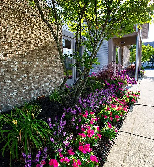Waterford Pointe — Photo 6