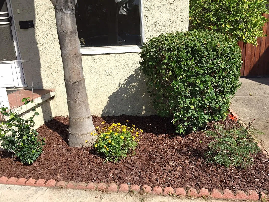 N Keystone St, Burbank — Photo 4