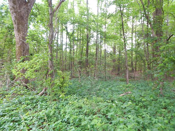 4th image of Woodchuck Rd