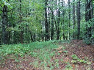 0 Huckleberry Creek Rd, Franklin, NC 28734