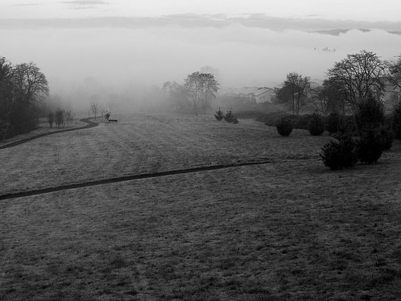 Early Morning View over Coffee
