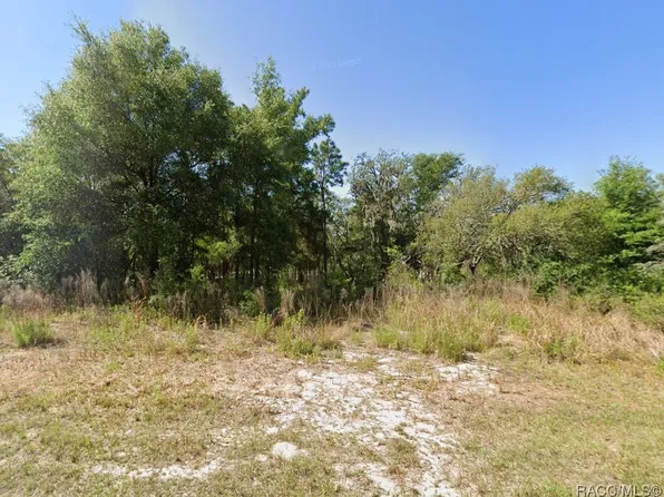 2324 W Aleuts Dr, Beverly Hills, FL 34465