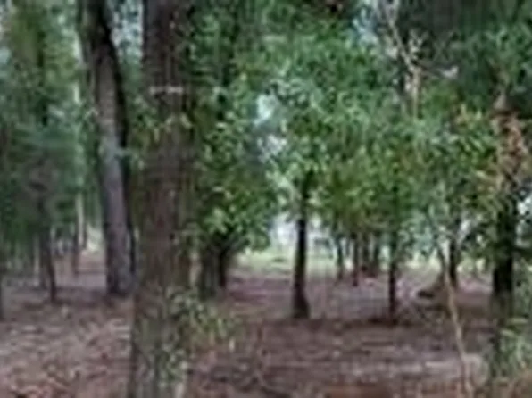 0 205th Ln, Live Oak, FL 32060