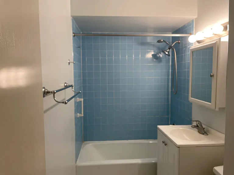 10232 S Kenton Ave #201 — Photo 8