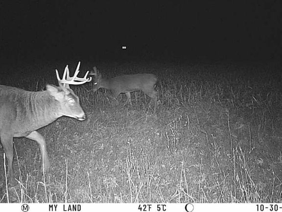 4th image of Lot 1 Hwy 22