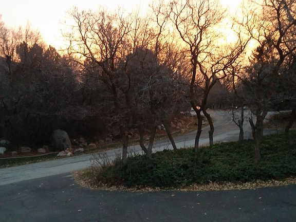 Partial street/cir drive vie