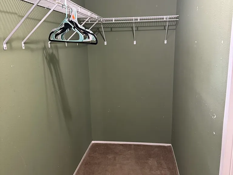 Master walk-in closet