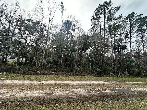 3rd image of 6295 ALDER AVENUE
