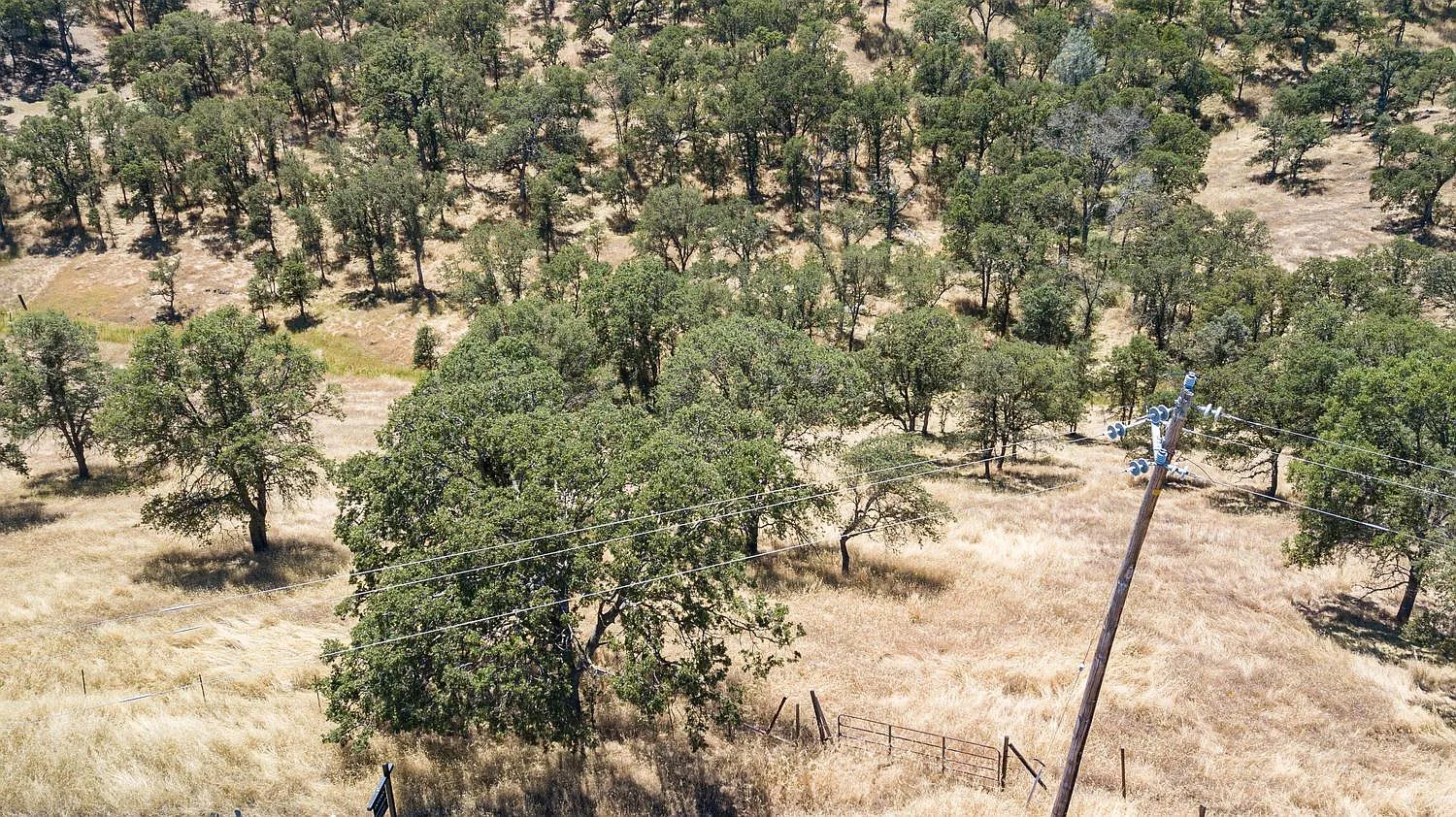 1375 Cheyenne Rd photo 1