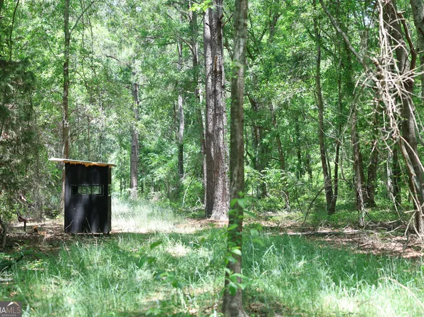 2239 Brady Rd, De Soto, GA 31743