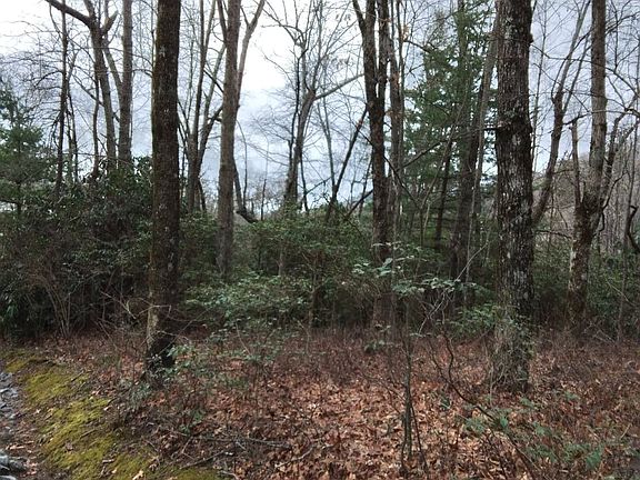 2nd image of LOT Ten #&-11