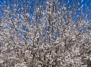 2572 Freitas Rd, Newman, CA 95360