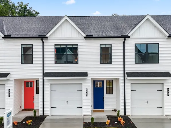 The Lily Plan, Chapman Trace