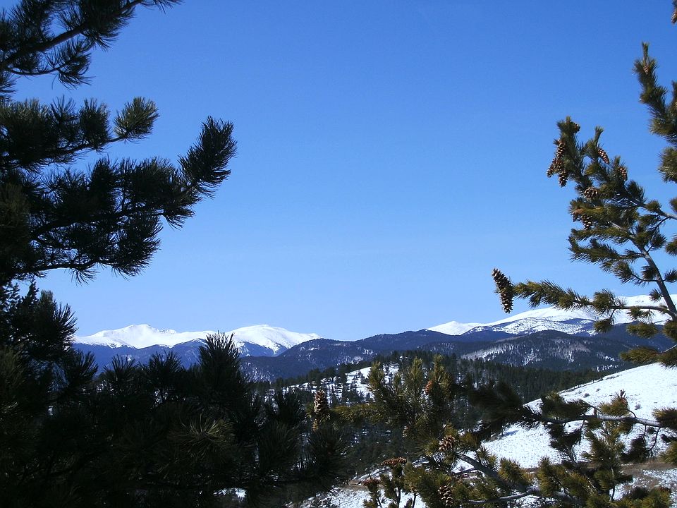 2nd image of 110 Mule Deer Trl