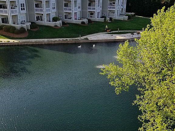 Another gorgeous view of the pond from the deck.