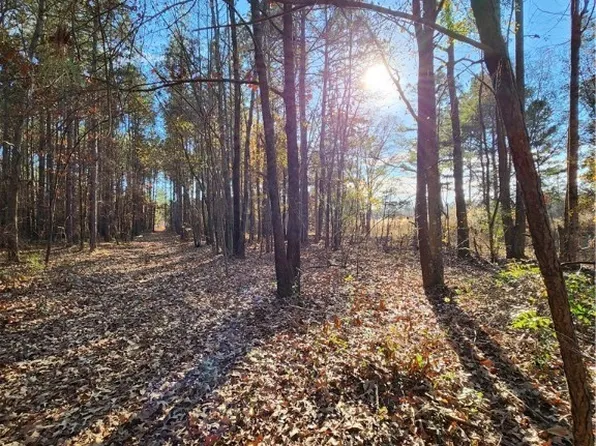 10608 Colliers Chapel Church Rd, Linden, NC 28356