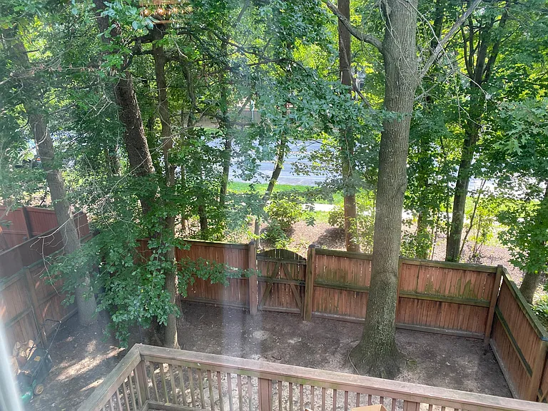 Fenced in backyard