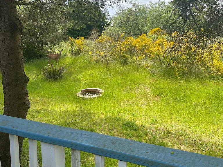 273 Ocean Shores Blvd NW — Photo 17