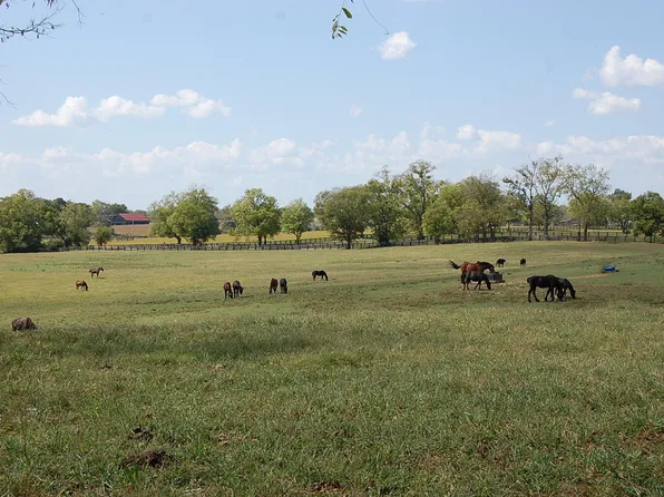 990 Clay Kiser Rd, Paris, KY 40361