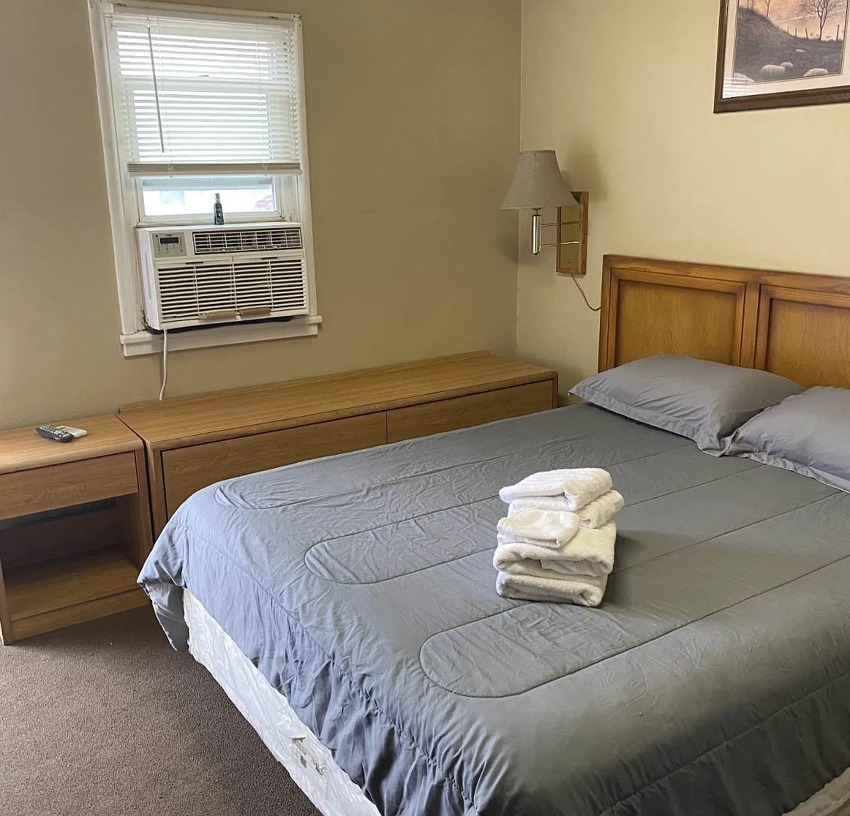 1 bed, 500 sqft, $800 — Photo 2