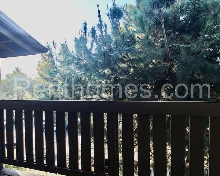 10284 Black Mountain Rd #186 — Photo 3