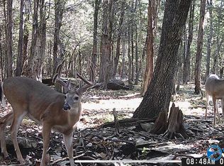 Mountain Fork Rd, New Market, AL 35761