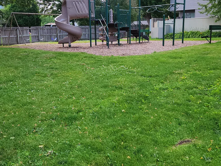 East Blf — Photo 13