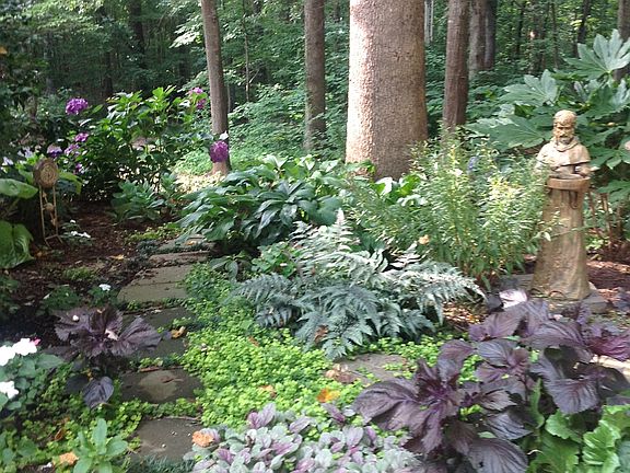 Shade garden next to deck