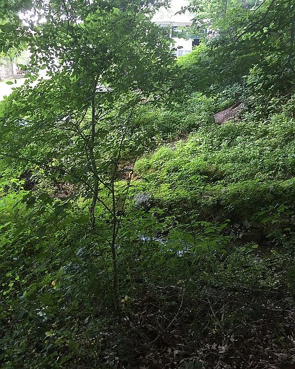 2nd image of 601 Fitz Henry Rd
