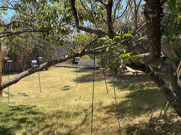 5th image of 2633 Clear Brook Dr