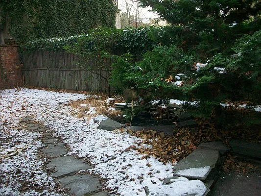 Rented by BLS Realty | media 25