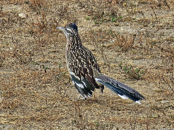 4th image of 552 (LOT 2002) Rock Trail LOT 2002