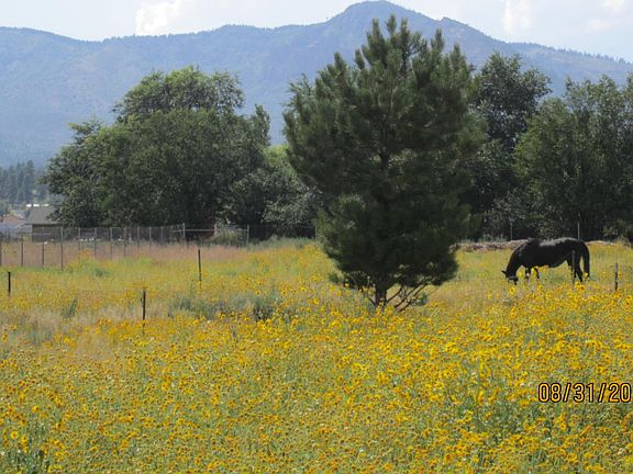 Backyard , yes the horse is avail too !