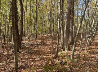 6110 Black Bear Rd, Cresco, PA 18326