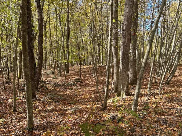 6110 Black Bear Rd, Cresco, PA 18326