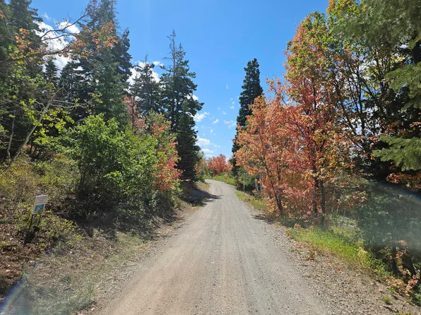 1246 E North Fork Rd S, Fairview, UT 84629