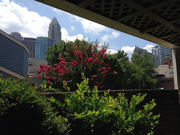 View from the Patio!