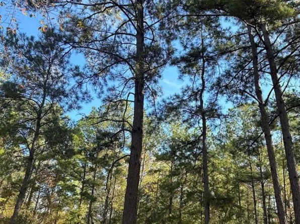 9845 Fm 149 Rd, Montgomery, TX 77316