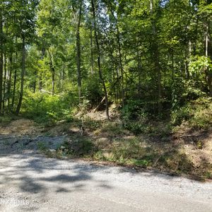 630 County Road 224, Niota, TN, 37826