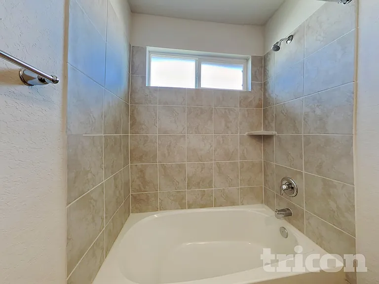 15406 Shortwing — Photo 27