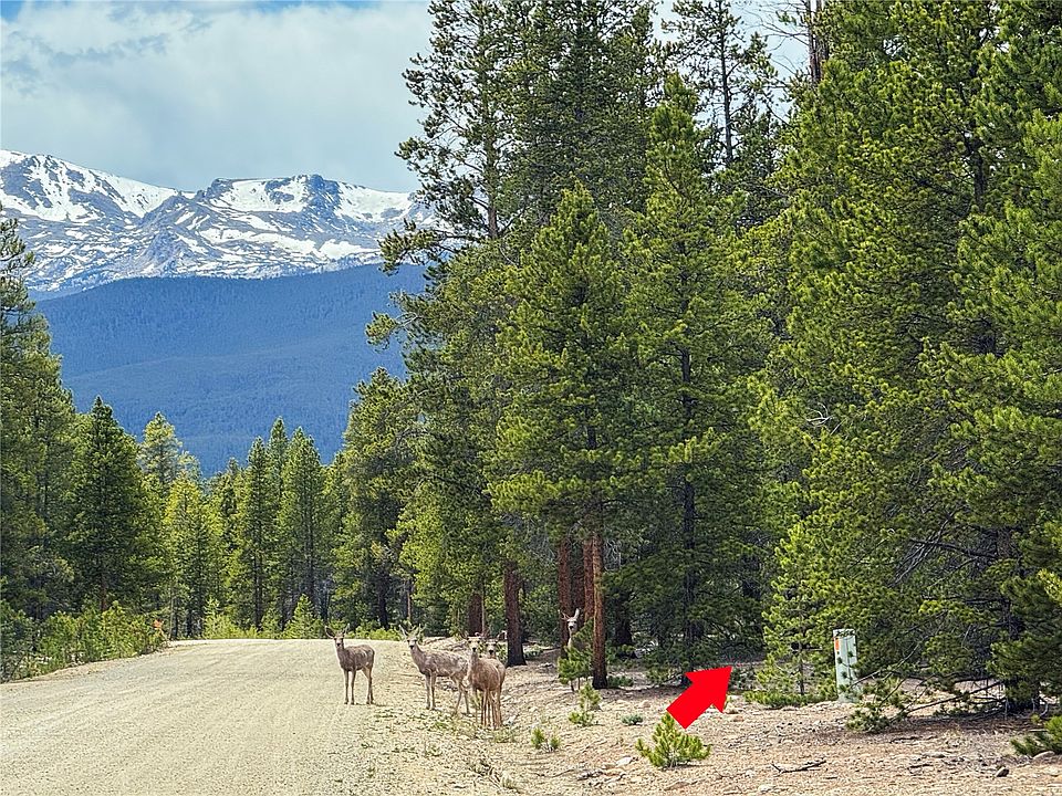 1st image of 201 Snowshoe Rabbit Drive