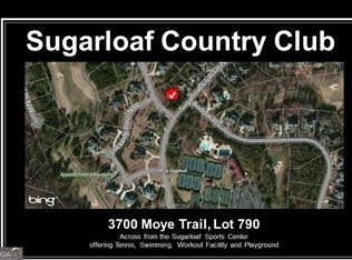 3700 Moye Trl, Duluth, GA 30097