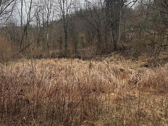 3rd image of Sunshine Rd