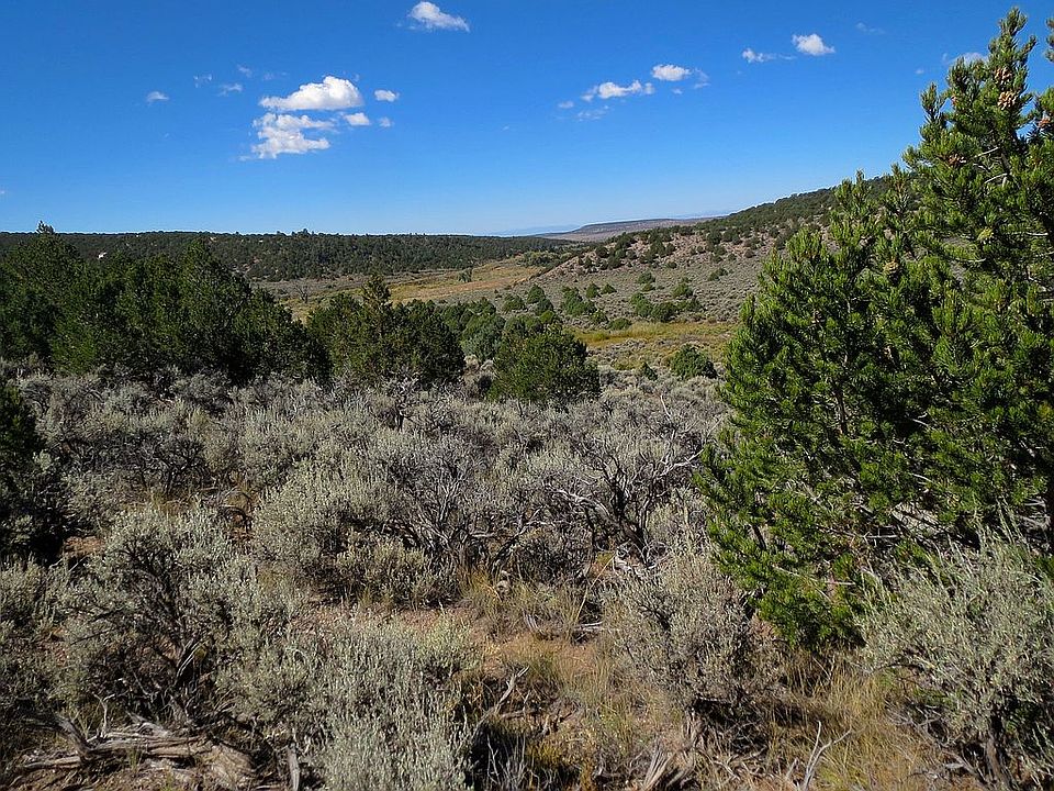 Long view down the valley.