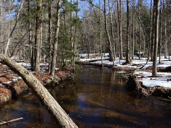 0 Bear Pond Rd, Athol, NY 12810