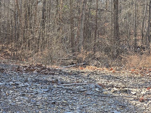 4th image of LOT 7 Oak St