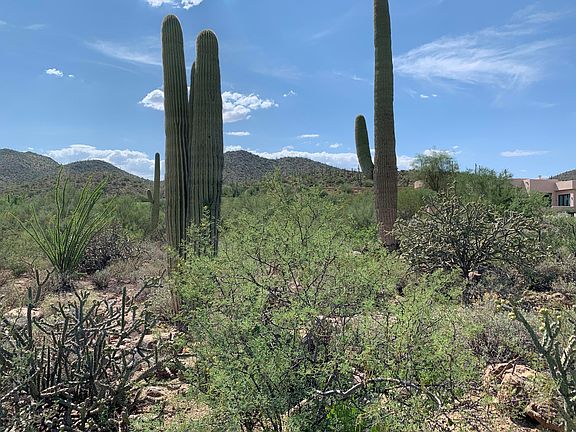 2nd image of 3825 W Tohono Crossing Pl