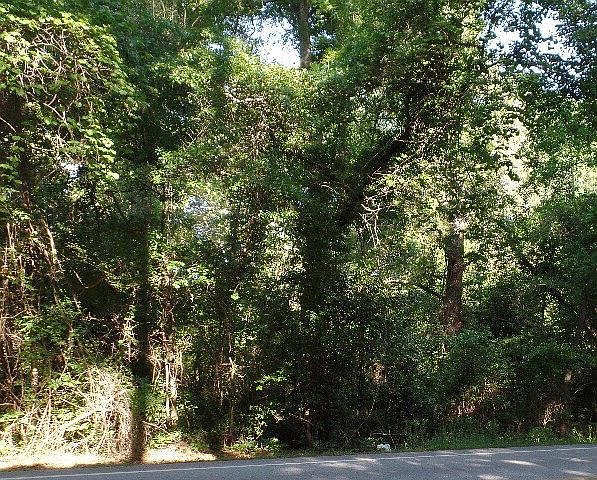2nd image of 860 Lewis Rd