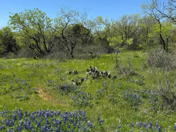 TBD Cindy Lane, Kingsland, TX 78639