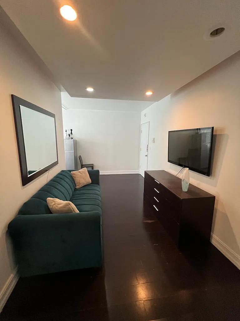 1 bed, 450 sqft, $2,000 — Photo 3